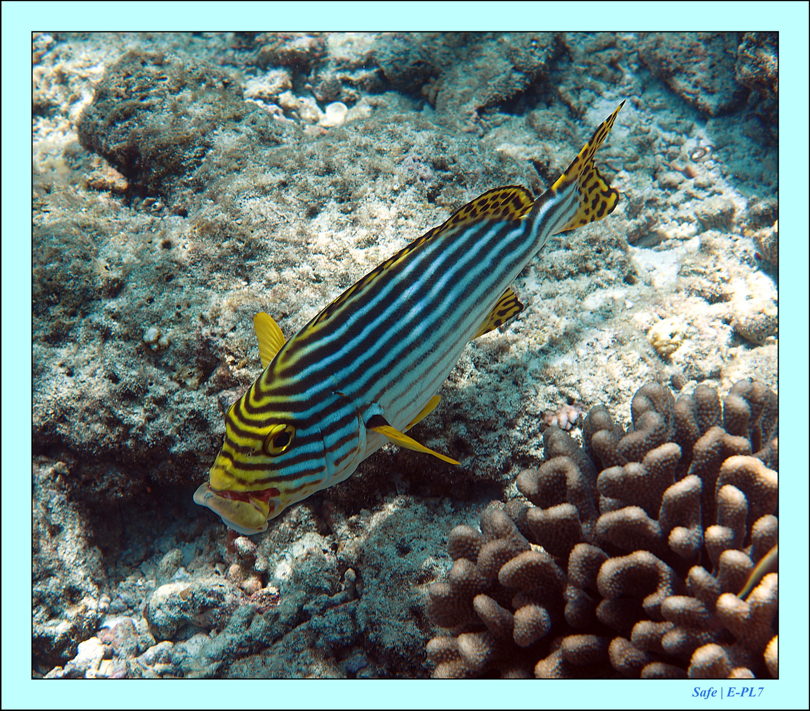 2023 - 07 - Sandies Bathala - 200